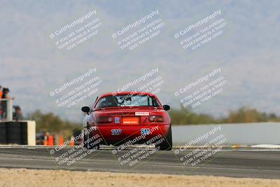 media/Feb-17-2024-Nasa AZ (Sat) [[ca3372609e]]/4-Race Group A/Session 2 Qualify (Turn 16)/